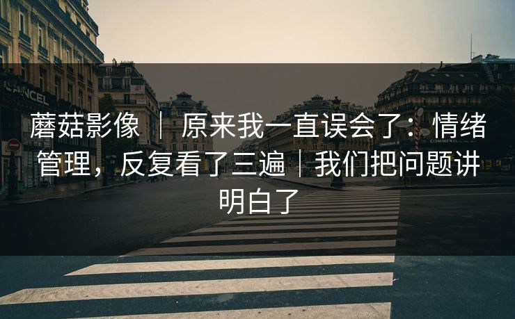 蘑菇影像 ｜ 原来我一直误会了：情绪管理，反复看了三遍｜我们把问题讲明白了