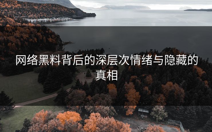 网络黑料背后的深层次情绪与隐藏的真相
